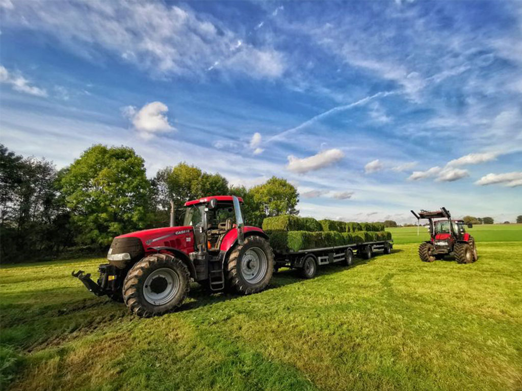 MeinWagyuHof_Ueber-uns_001